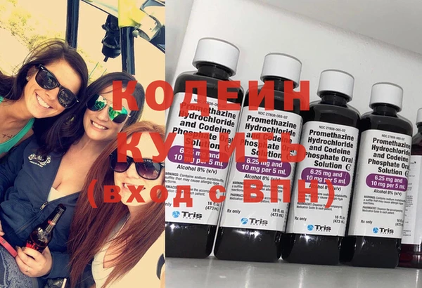 индика Билибино