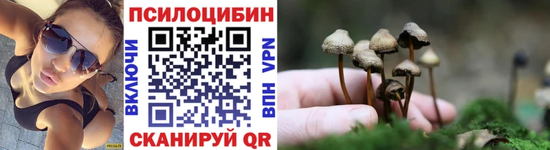 купить закладку  Яровое  Галлюциногенные грибы Psilocybe 