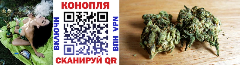 хочу наркоту  Яровое  Канабис THC 21% 